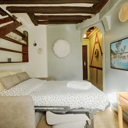 Lovely Small In The Heart Of Saint-germain Apartment